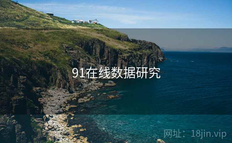 91在线数据研究