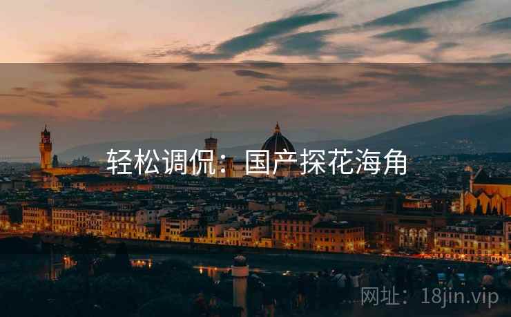 轻松调侃：国产探花海角