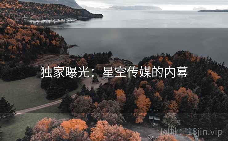 独家曝光：星空传媒的内幕