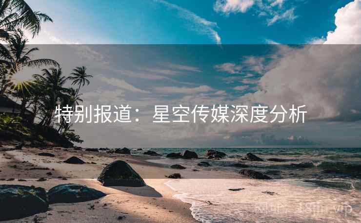 特别报道：星空传媒深度分析