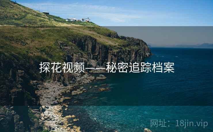 探花视频——秘密追踪档案