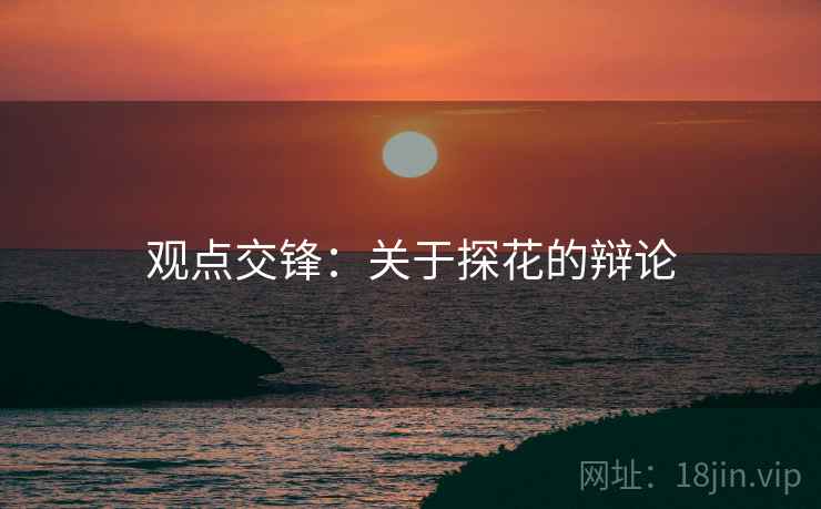 观点交锋：关于探花的辩论