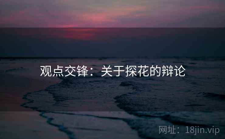 观点交锋：关于探花的辩论