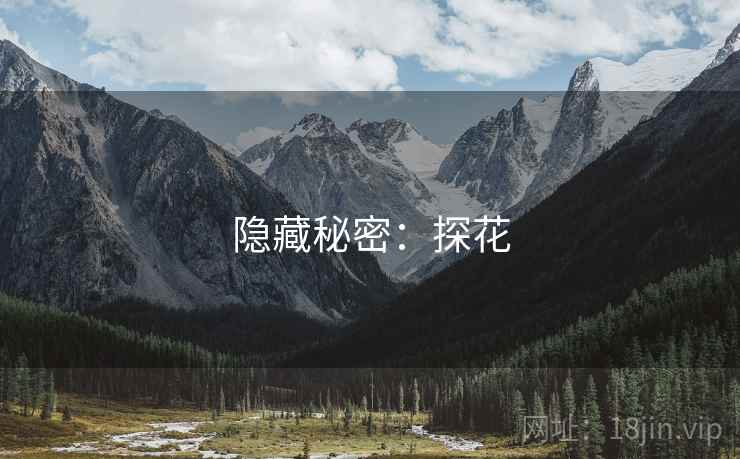 隐藏秘密：探花