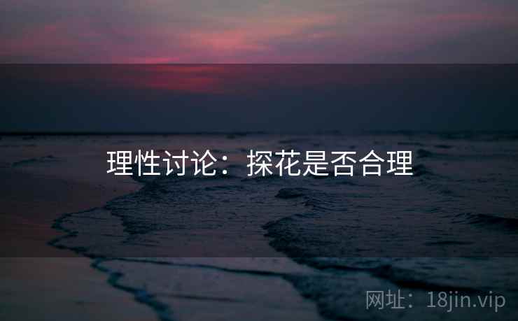 理性讨论：探花是否合理