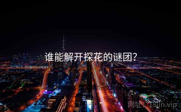谁能解开探花的谜团? 谁能解开探花的谜团?