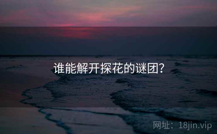 谁能解开探花的谜团? 谁能解开探花的谜团?