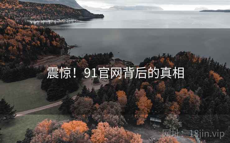 震惊！91官网背后的真相