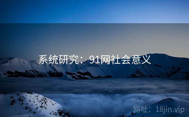系统研究：91网社会意义