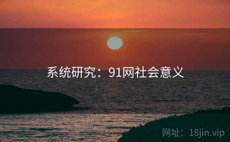 系统研究：91网社会意义