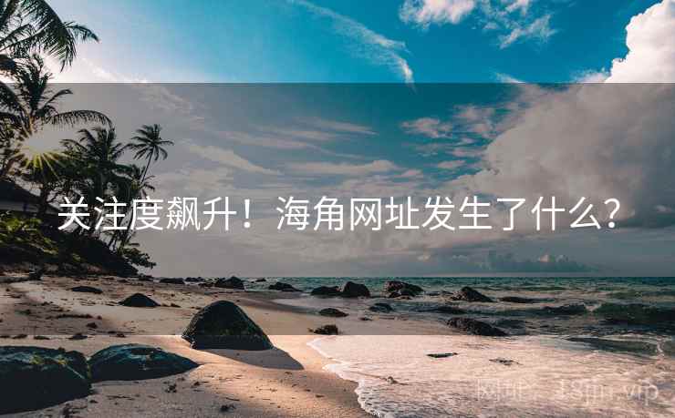 关注度飙升！海角网址发生了什么？