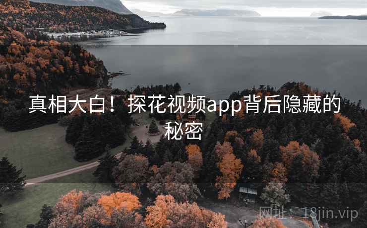 真相大白！探花视频app背后隐藏的秘密