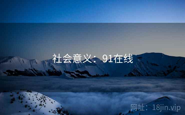 社会意义：91在线