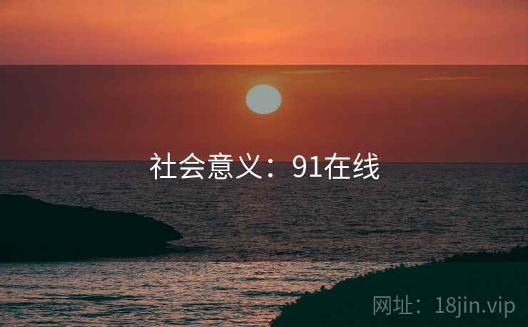 社会意义：91在线