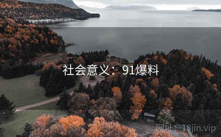 社会意义：91爆料
